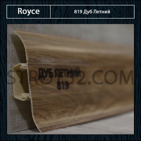 Дуб Летний 819